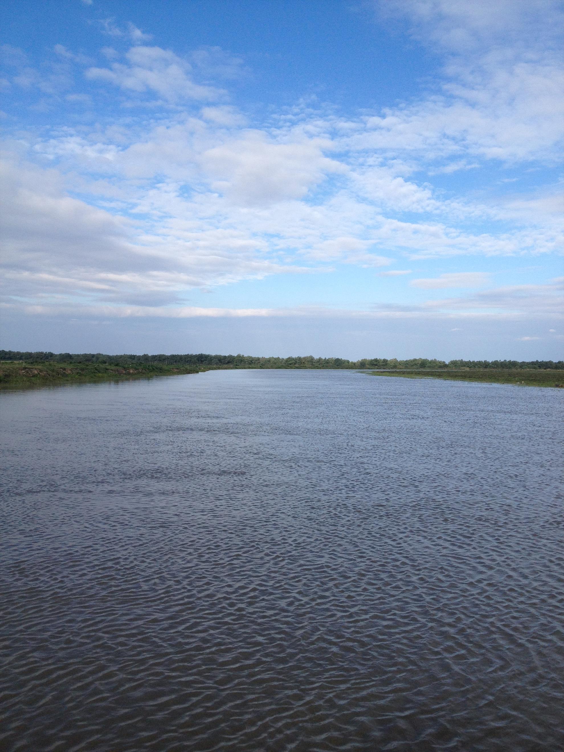 Delta Dunarii - img1114.JPG